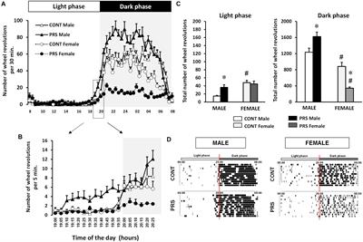 Perinatal Stress Programs Sex Differences in the Behavioral and Molecular Chronobiological Profile of Rats Maintained Under a 12-h Light-Dark Cycle